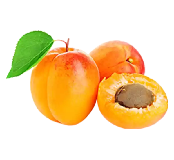 Apricot