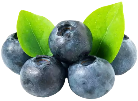blueberry