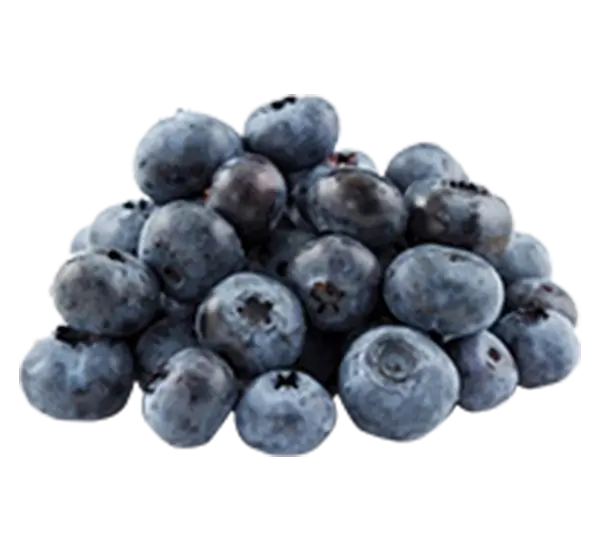 Blueberry