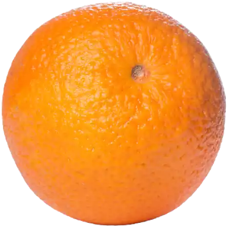 citrus