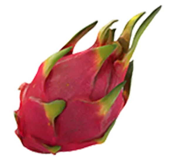 Dragon Fruit