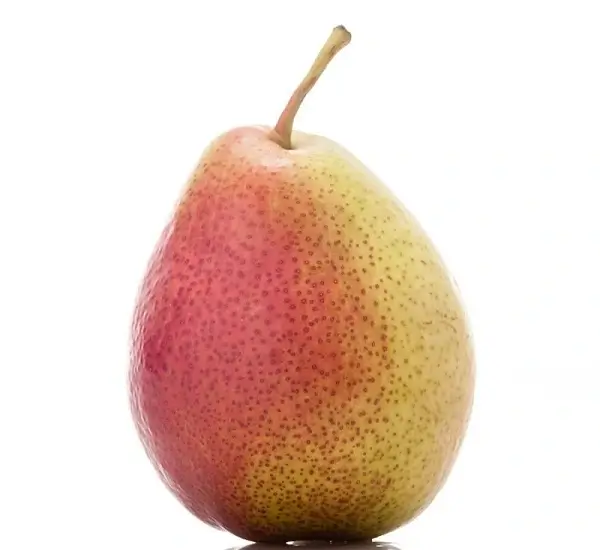 Forella