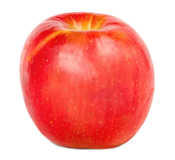 Fuji Apple