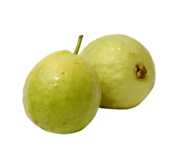Guava