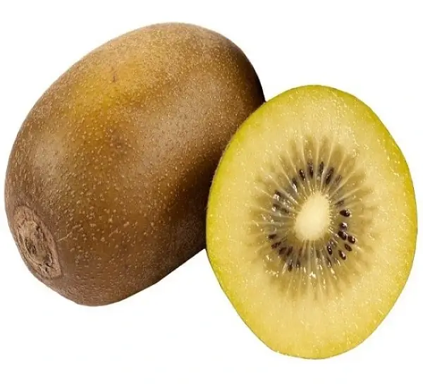 Jingold Kiwi