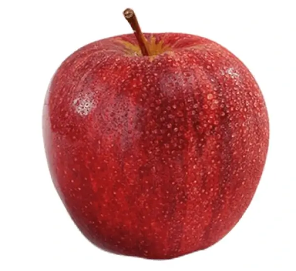 Joly-Red