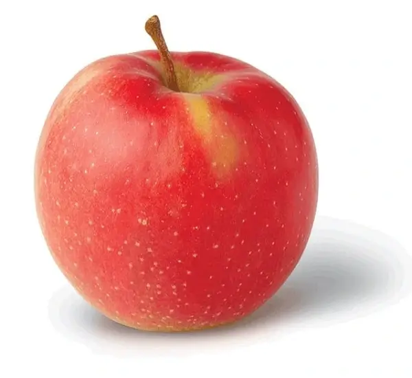 Jonagold