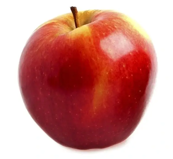 Kanzi Apple