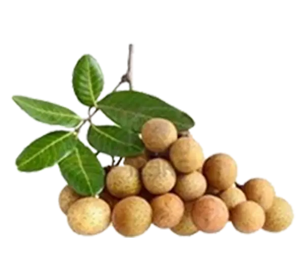 Longan