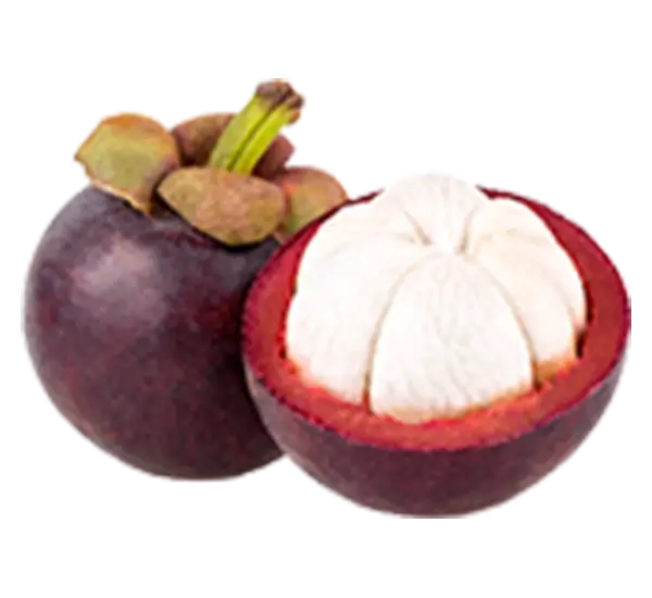 Mangosteen