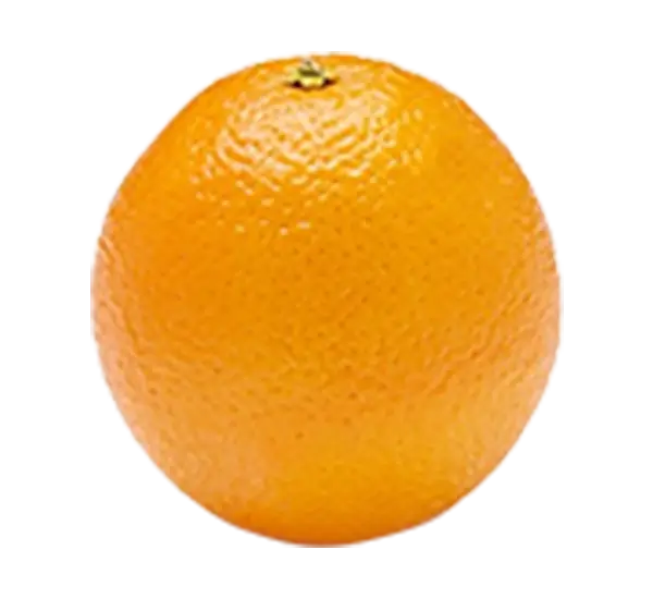 Navel Orange