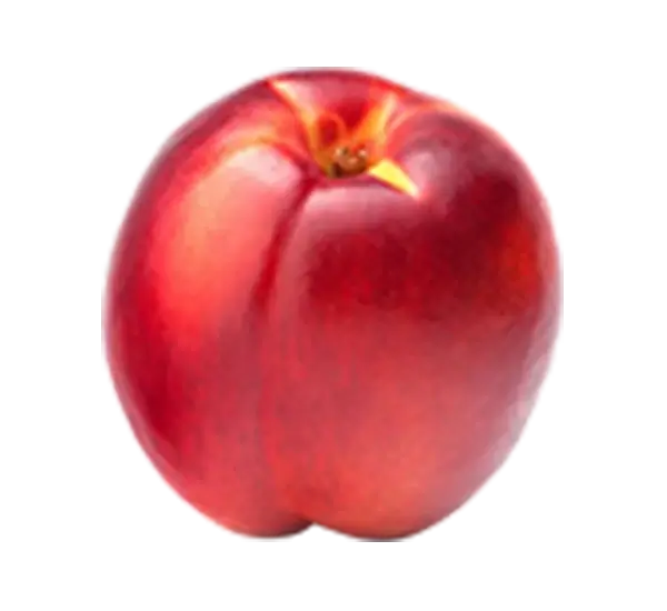 Nectarines
