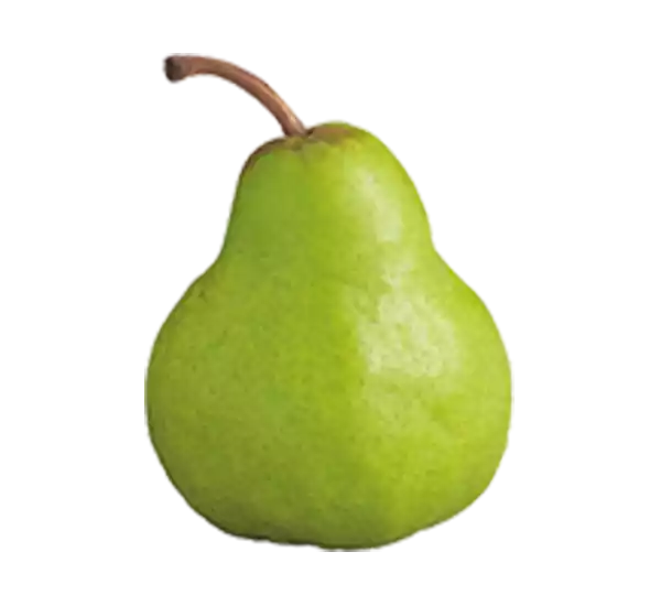 Packham Pear
