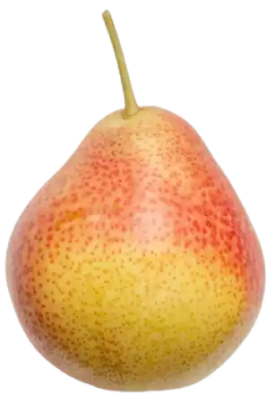 pear