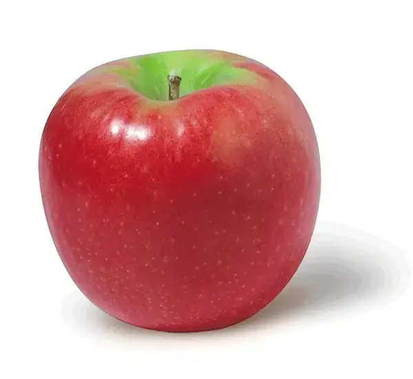 Pink Lady Apple