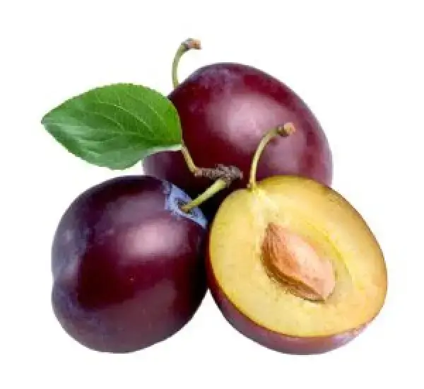 Plum