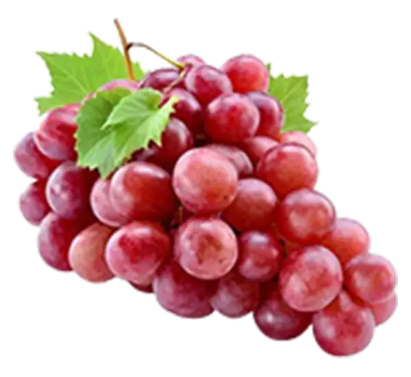 Red Globes Grapes