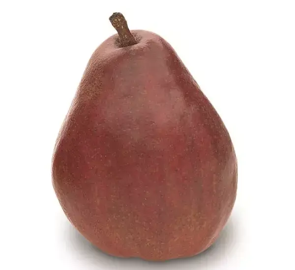 Red Anjou