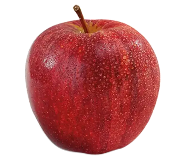 Royal Gala Apple
