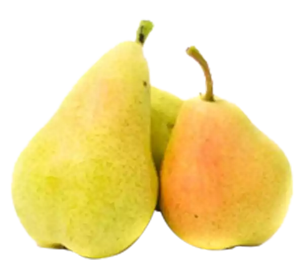 Vermont Beauty Pear