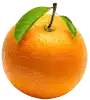 tastyfruits
